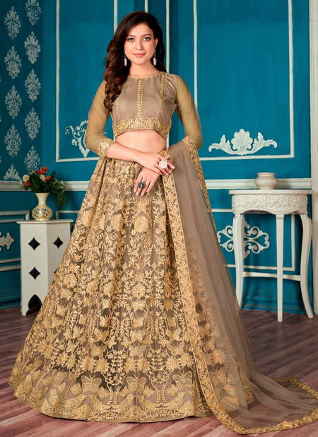 Brown Colour VARNI ZEEYA NAFEESA New Latest Designer Fancy Festive Wear Net Lehenga Choli Collection 5002 Catalog